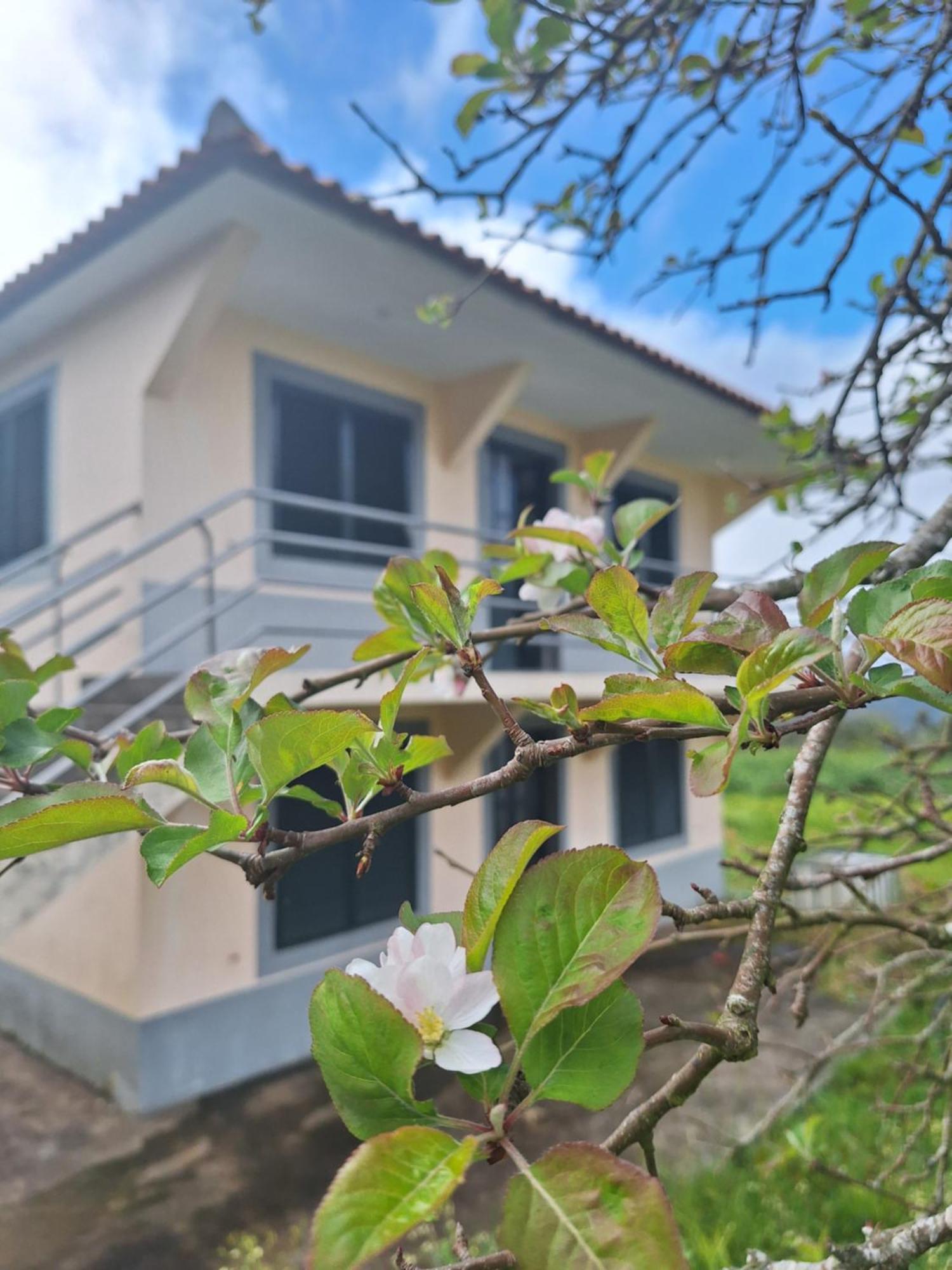 Villa Correia - Ribeiro Frio Sao Roque Do Faial Exterior photo